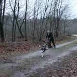 Foto van mich en mn husky's