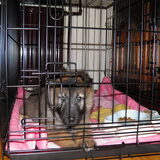 Foto van Nikita & Dames