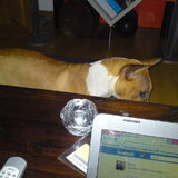Foto van Jill