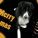 kerst kaartje van woody gemaakt