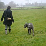 Samen uit!
