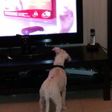 Hey mijn serie is op tv!