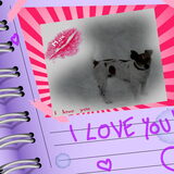 Foto van Sabine en Mini Max