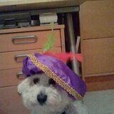 Onze hulp Piet
