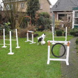 Foto van Wendiej