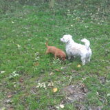 1e keer los in het park was toch best spannend