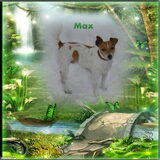 Foto van Sabine en Mini Max