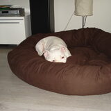 Foto van Jeroen & Lola