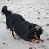Foto van Joëlle <3 Sammie