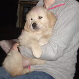 Zoey!