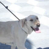 wandelen in alicante! :-)