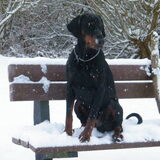 Nog meer sneeuw!!
