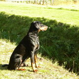 Foto van Baldor