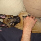 Lela, die oortjes...:P