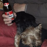 Banjer is een beetje moe van al dat drinken haha!! Hoezo dronken???…