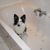 in het bubbelbad