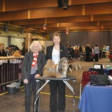 Foto van suzanne  shih-tzu