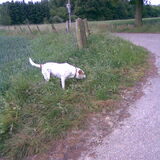 Foto van annelies