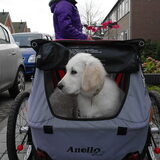 femke in de fietskar