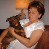 Doggie vind het heerlijk op schoot.