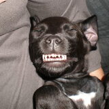 SMILE!!!!!!!!!!!!!!!! (12 weken)