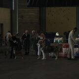Foto van Plucheke007