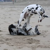 Lekker spelen op het strand