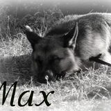 voor max