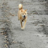Kenai in Tillegembos :)