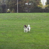 Foto van Snoopy en baasje