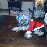 Beauty wou ook!