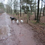 Turbo,Levi en Spike worden al echte vrienden.