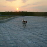 Zonsondergang