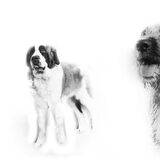 Foto van Maks met Fenna & Yuna