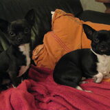 Max (rechts) en zijn broertje.