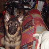 onze diva word heel snel groot