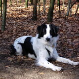 Foto van Wendiej