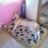 Sunny net wakker