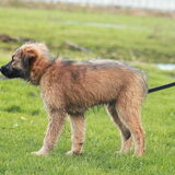 Foto van team Shadow
