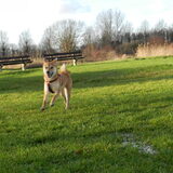 Kenai