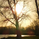 prachtig uitzicht aan de plas :)