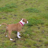 met tyra in het park