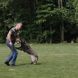 Pakwerktraining