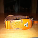 mijn nieuwe halsband van Power Dogs Cadeautje van men baasje voor mijn…