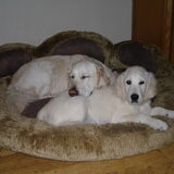 samen chillen