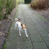 Foto van Sabine en Mini Max