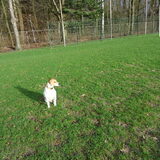 Foto van Sabine en Mini Max