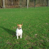 Foto van Sabine en Mini Max