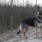 Tussen de storm door naar het bos!