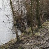 Tussen de storm door naar het bos! 'Ik spring toch het water in!'